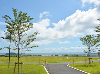 芝生広場（つどいの広場）の写真