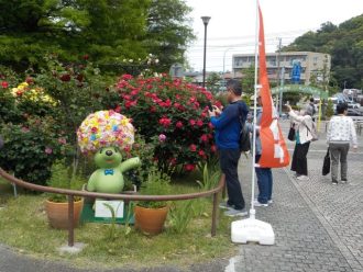 公園だより最新投稿写真