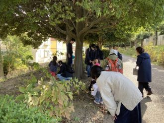 公園だより最新投稿写真