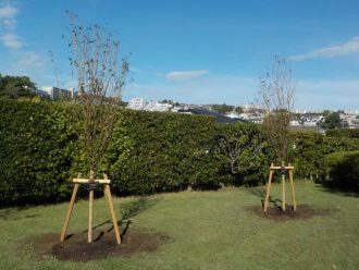 公園だより最新投稿写真