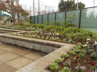 公園だより最新投稿写真