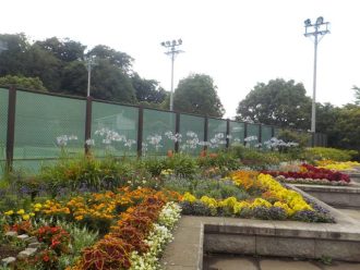 公園だより最新投稿写真