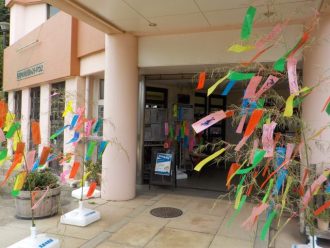 公園だより最新投稿写真