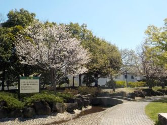 公園だより最新投稿写真