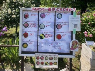 公園だより最新投稿写真