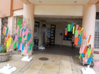 公園だより最新投稿写真