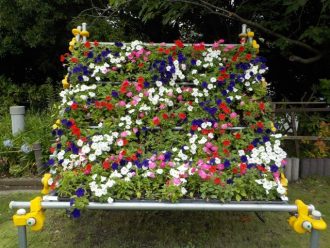 公園だより最新投稿写真