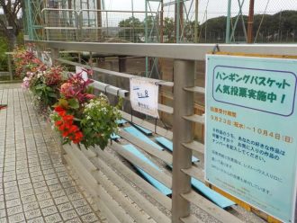 公園だより最新投稿写真