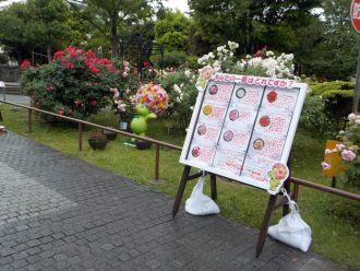 公園だより最新投稿写真