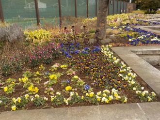 主催イベント:3/15 防災そなえパークの日の画像