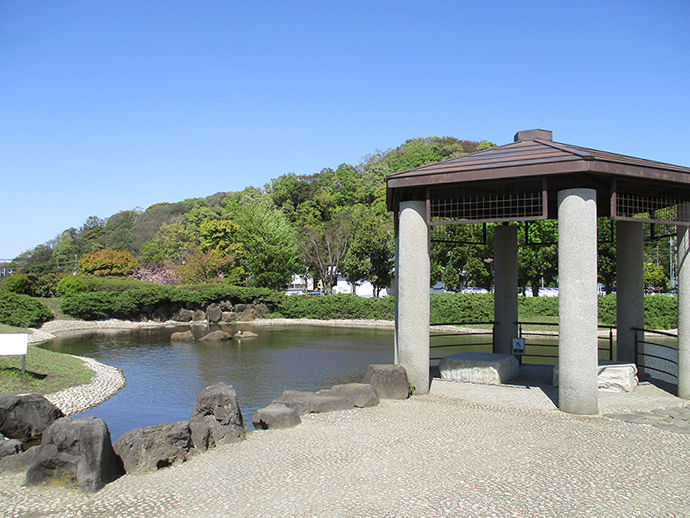 池の写真