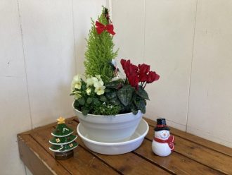 公園だより最新投稿写真