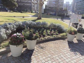 公園だより最新投稿写真