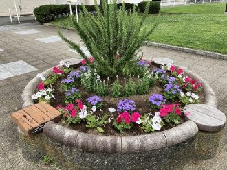 公園だより最新投稿写真