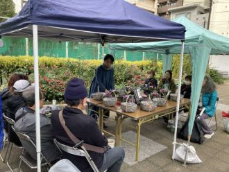 公園だより最新投稿写真