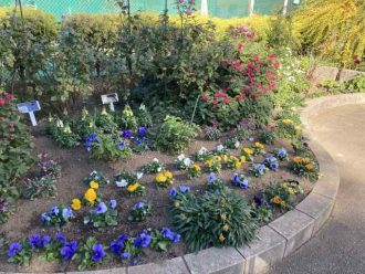 公園だより最新投稿写真