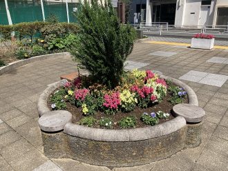 公園だより最新投稿写真