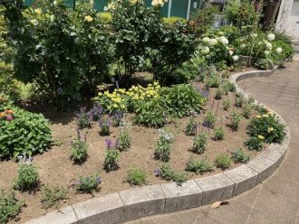 公園だより最新投稿写真