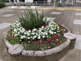 公園だより最新投稿写真