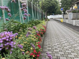 公園だより最新投稿写真
