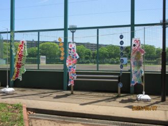 公園だより最新投稿写真
