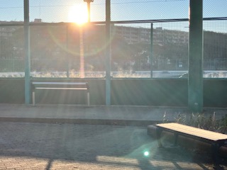 公園だより最新投稿写真