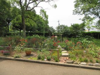 公園だより最新投稿写真