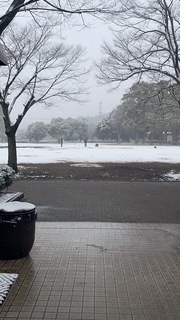 公園だより最新投稿写真