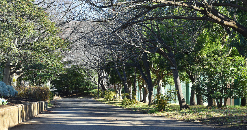 公園の写真2