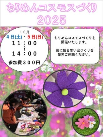 主催イベント：ちりめんコスモスづくり2025の画像