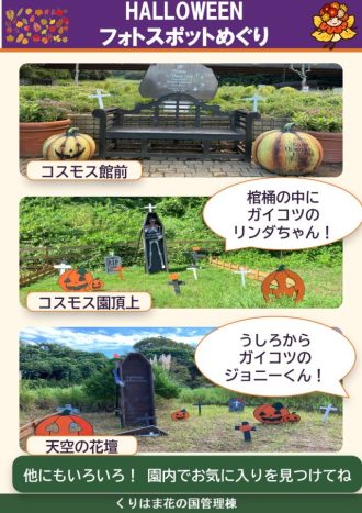 公園だより最新投稿写真