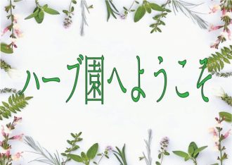 主催イベント：ハーブ園へようこそ 2024の画像