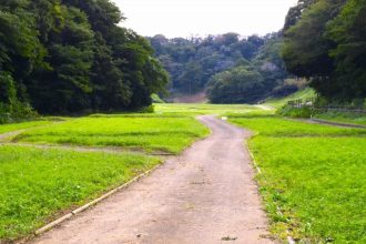 公園だより最新投稿写真