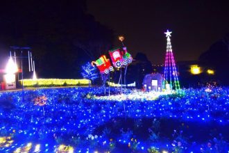 公園だより最新投稿写真