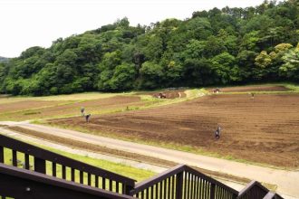 公園だより最新投稿写真