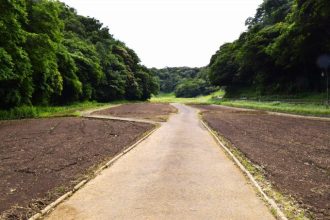 公園だより最新投稿写真