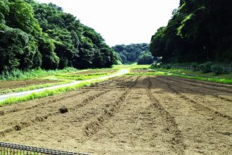 公園だより最新投稿写真