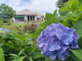 公園だより最新投稿写真