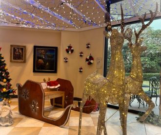 公園だより最新投稿写真