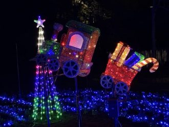 主催イベント：くりはま花の国　ウインターイルミネーション2025の画像