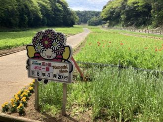 公園だより最新投稿写真