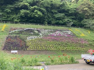 公園だより最新投稿写真
