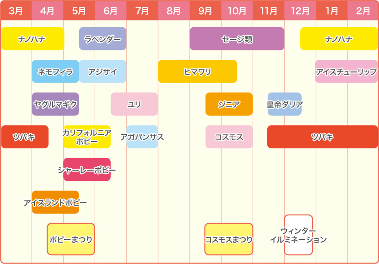 開花リレーの画像