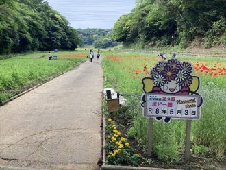 公園だより最新投稿写真