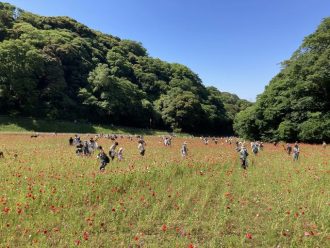 公園だより最新投稿写真