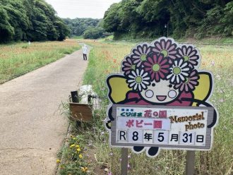 公園だより最新投稿写真
