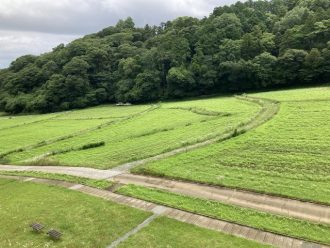 公園だより最新投稿写真