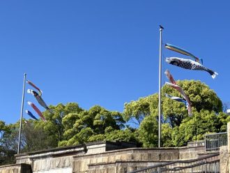 公園だより最新投稿写真