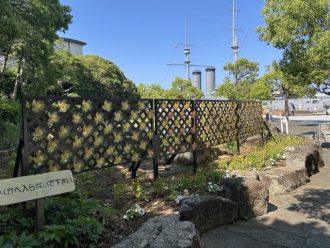 公園だより最新投稿写真