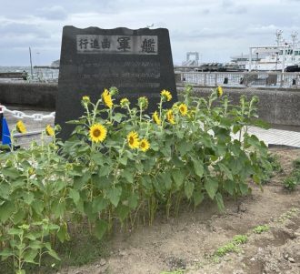 公園だより最新投稿写真